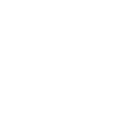 Instagram icon - white